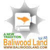 BALIWOOD LAND THE ZONES OF AMAZING BRAND PARTNERS CAMP